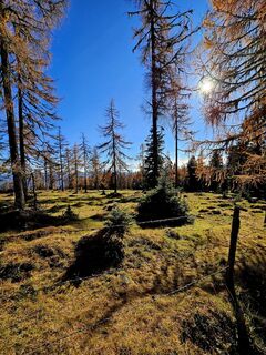 Fotografia z Don  Pedro na trase