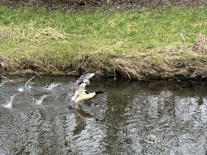 Fotó a robin Zuhn honlapról a túra során