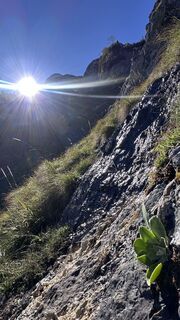 Zdjęcie z Mountain Cat ? ⛰️ wzdłuż trasy