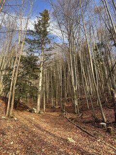 Foto von Josef Tripolt entlang der Tour