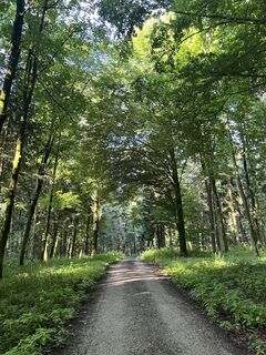 Foto de Markus Woisetschläger a lo largo del recorrido