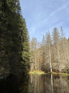 Fotó a Nikolaus Ludwig 1 honlapról a túra során