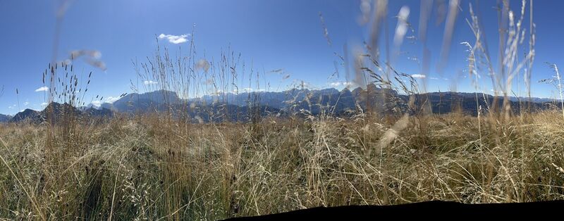 Fotografia z Anna-Maria Streller na trase