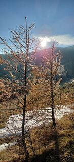 Fotografia z Harald Egger na trase