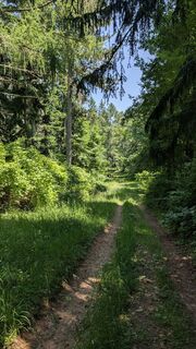 Foto von Jele Hannes entlang der Tour