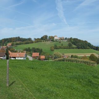 Aussicht vor Linde - ViaJacobi Etappe 12