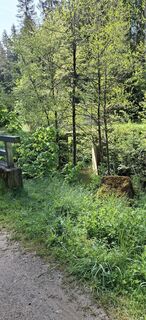 Fotografija s spletne strani Josymschlegel na poti