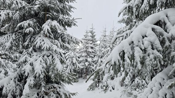 Foto von Katja Senkel entlang der Tour