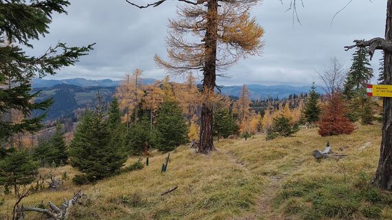 Fotografia z TommiG2 na trase