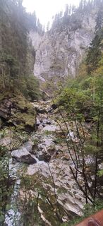 Fotografija s spletne strani Jerzy borys na poti