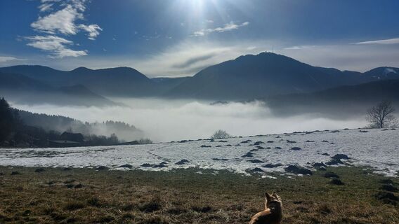Fotografia z Karin Svozil na trase