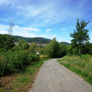 Blick auf St. Martin und das Hambacher Schloss