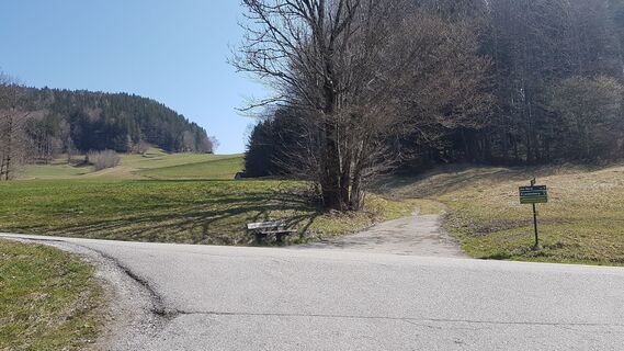 Gerde: Wandererabkürzung, Links: MTB-Route