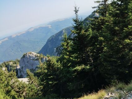 Fotografie z Tasurinki Mitote na trase