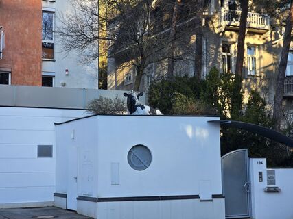 Fotografie z enipeus 65 na trase