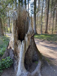 Фото с сайта justasimpleguy во время экскурсии