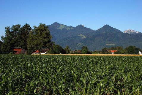 Hochplatte - Friedenrath - Staffn