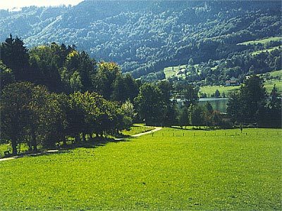 Die wunderschöne Landschaft rund um Zell. 