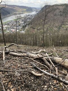 Fotografija s spletne strani BieneM na poti