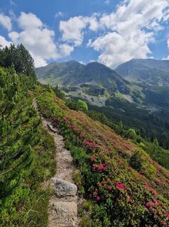 Photo de Gabi Köberl le long du parcours