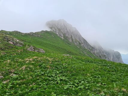 Fotografia z uhu321 na trase