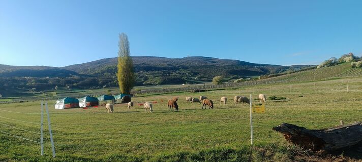 Foto von Stef canta entlang der Tour