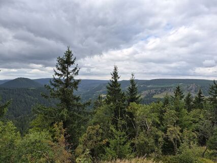 Zdjęcie z Wollomator wzdłuż trasy