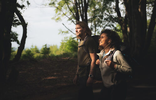 Wandern auf dem Sauerland-Hoehenflug