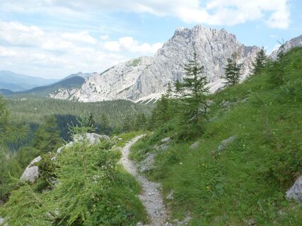 Rückblick zum Gr. Griesstein Wildalpen