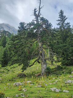 Jahnhügel, Tirol/Österreich