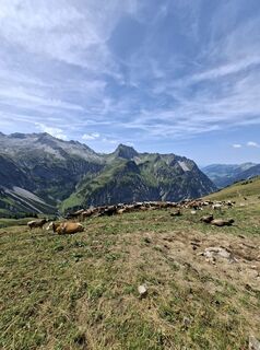 Foto von Karl-Heinz Martin entlang der Tour