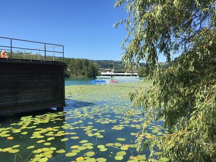 Foto von Thomas Schwarz entlang der Tour