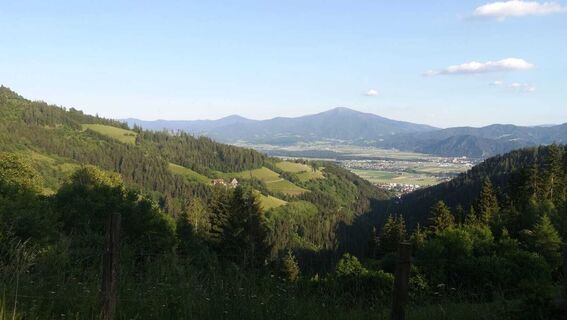 tour 13a - mtb - schlapfkogel über allerheiligen_img_51423815