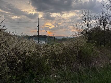 Foto von Schaali entlang der Tour
