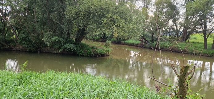 Foto da Utassy Tóth Johanna lungo il tour