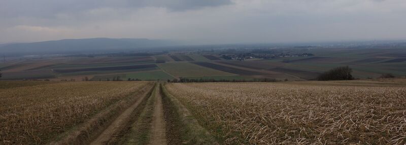 Aufstieg zum Waschberg