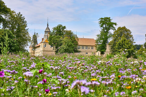 ascheberg-schloss-westerwinkel-suedkurs