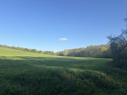 Foto de Reti Alicia a lo largo del recorrido