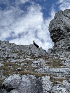 Foto von Berg Noar entlang der Tour