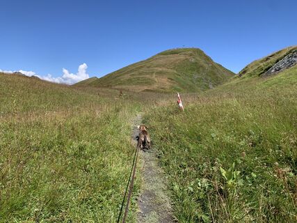 Foto de Koen De Wit a lo largo del recorrido