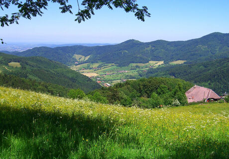 Blick von der Lindlehöhe in das Oberglottertal