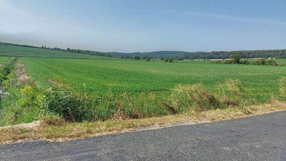 Foto von Gy. Adam entlang der Tour