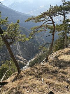 Zdjęcie z Markusss wzdłuż trasy