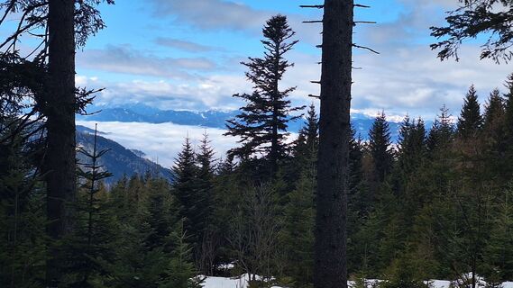 Fotografija s spletne strani Susi Puhl na poti