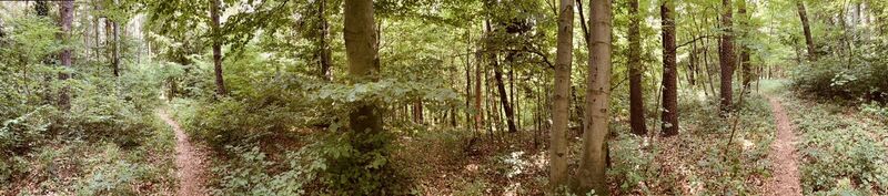 Fotografie z Robert Gerard na trase