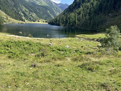 Fotografia z Bart Broeksema na trase