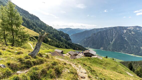 Dalfaz Alm mit Blick auf den Achensee