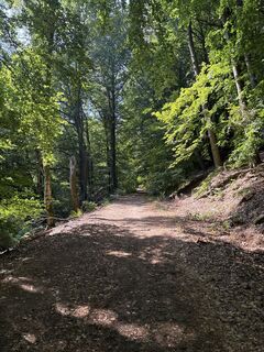 Photo de Tyx De le long du parcours