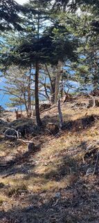 Fotografie de la Manu Hof de-a lungul turului