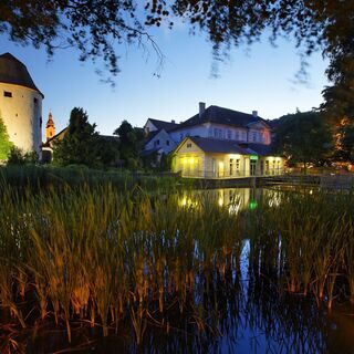 Rochusteich in Hartberg